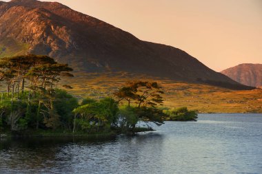 On iki Pines Adası, dağ, County Galway, İrlanda keskin doruklarına tarafından oluşturulmuş
