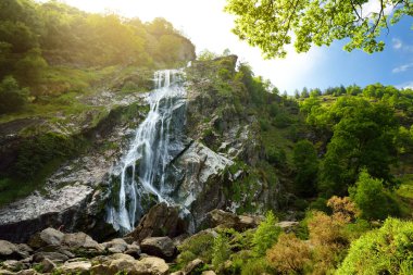 Powerscourt Waterfall, highest waterfall in Ireland  clipart