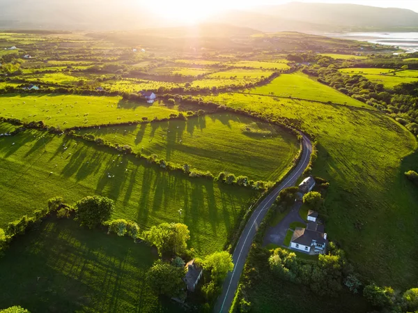 Aerial View Endless Lush Pastures Farmlands Ireland — Stock Photo, Image