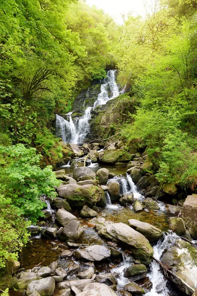 キラーニー国立公園 アイルランドのウッドランドにトルク滝 — ストック写真