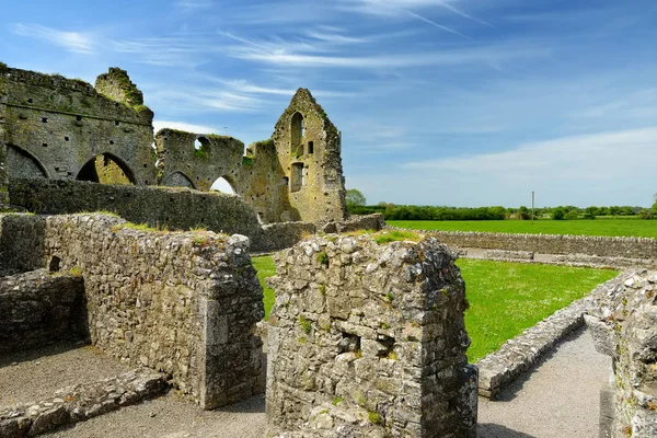 Hore Apátság Romos Cisztercita Kolostor Közelében Rock Cashel Megyei Tipperary — Stock Fotó