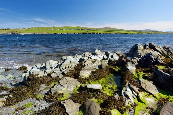経路のリング ケリー ケリー アイルランドのラフと岩の海岸 — ストック写真