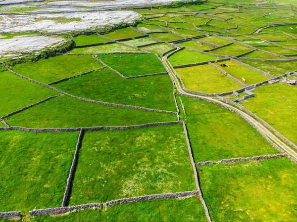 Letecký Pohled Ostrově Inishmore Zálivu Galway Irsko — Stock fotografie