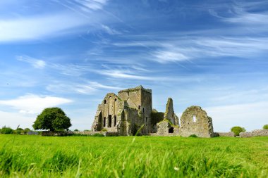 Hore Abbey, yıkık Cistercian Manastırı yakınındaki Cashel Rock, County Tipperary, Ireland