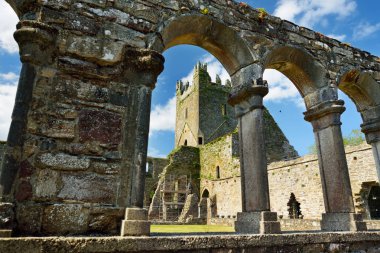 taş kalıntıları antik Jerpoint Abbey, Thomastown, County Kilkenny, Ireland 