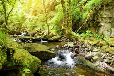 Küçük şelaleler yakınındaki Torc şelale, Killarney Milli Park, İrlanda.