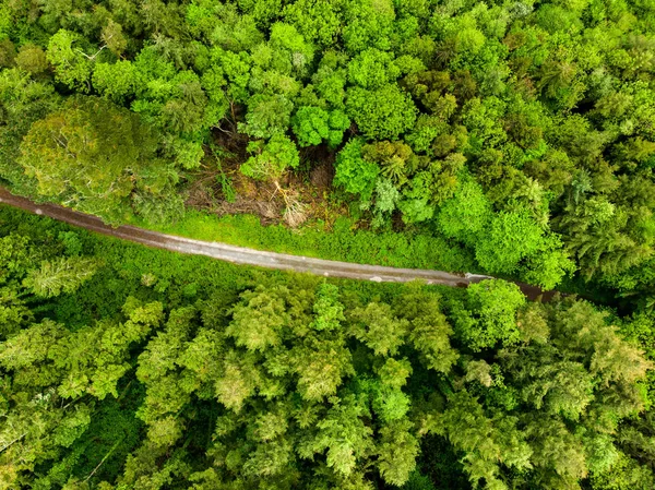 Légi Felvétel Road Zöld Erdők Killarney Nemzeti Park County Kerry — Stock Fotó