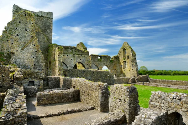Abadia Hore Mosteiro Cisterciense Arruinado Condado Tipperary Irlanda — Fotografia de Stock