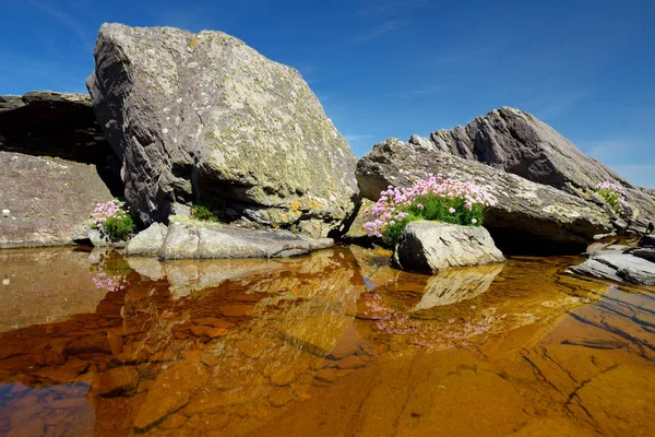 Rocky Shore Famous Ring Kerry Route Coast Iveragh Peninsula County — Stock Photo, Image