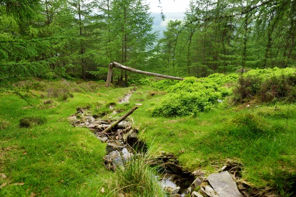 Narrow Stream Flowing Woodlands Wicklow Mountains National Park Ireland — Stock Photo, Image