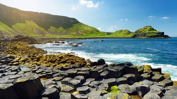 Area Hexagonal Basalt Stones Created Ancient Volcanic Fissure Eruption County — Stock Photo, Image