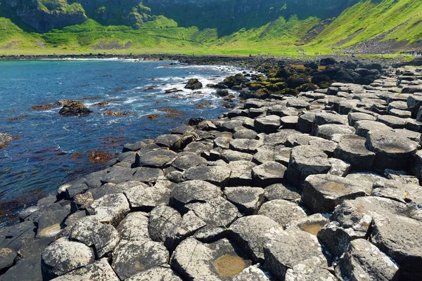 Riesendamm Fläche Aus Sechseckigen Basaltsteinen Grafschaft Antrim Nordirland — Stockfoto