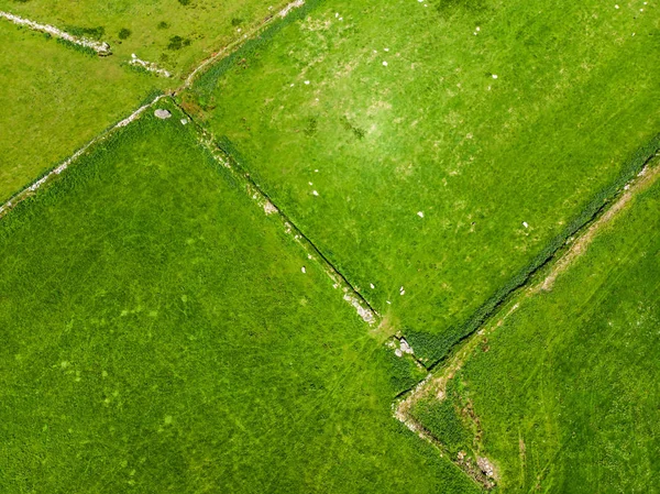 Gür Otlaklar Rlanda Nın Tarım Arazileri Havadan Görünümü — Stok fotoğraf