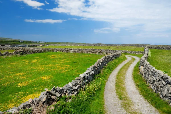 Country Road Inishmore Island Galway Bay Ireland — Stock Photo, Image