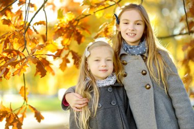 İki sevimli küçük kız güzel sonbahar gününde eğleniyor. Mutlu çocuklar sonbahar parkta oynarken. Sarı toplama çocuklar yapraklar düşer. Çocuklar için sonbahar faaliyetleri.