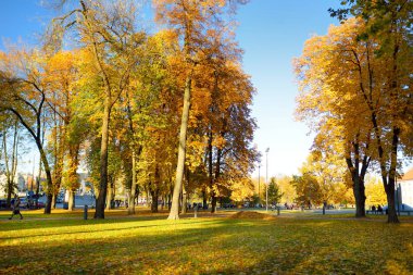 Renkli şehir park sahne ile turuncu ve sarı yaprakları sonbaharda. Güzel sonbahar sahne Vilnius, Litvanya.