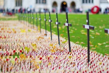 Londra, İngiltere - 19 Kasım 2017: Poppy günü anma askeri ve ı. Dünya Savaşı beri ölen siviller hatırlamak, Westminster Abbey alan anma, haçlar.