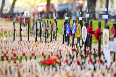 Londra, İngiltere - 19 Kasım 2017: Poppy günü anma askeri ve ı. Dünya Savaşı beri ölen siviller hatırlamak, Westminster Abbey alan anma, haçlar.