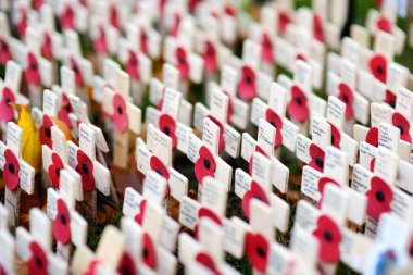 Londra, İngiltere - 19 Kasım 2017: Poppy günü anma askeri ve ı. Dünya Savaşı beri ölen siviller hatırlamak, Westminster Abbey alan anma, haçlar.