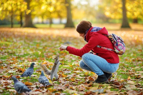 Mladá Žena Turistické Krmení Veverek Holub James Park Londýně Velká — Stock fotografie