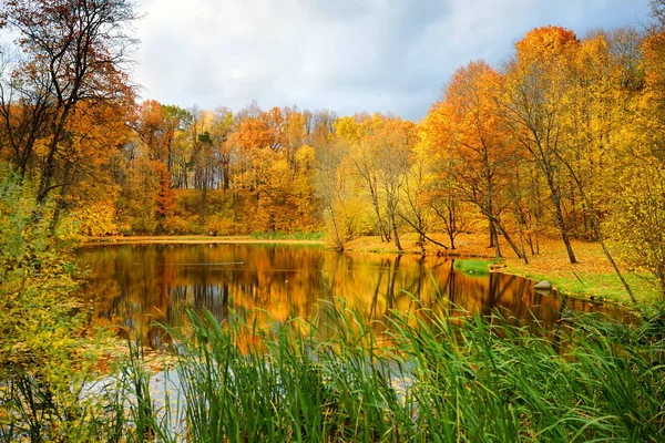 stock image Colorful forest scene in the fall with orange and yellow foliage. Autumn city park scenery in Vilnius, Lithuania.