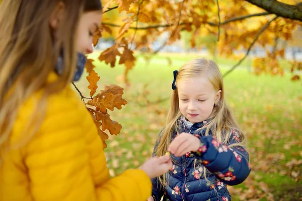 Zwei Süße Kleine Mädchen Die Einem Schönen Herbsttag Ihren Spaß — Stockfoto