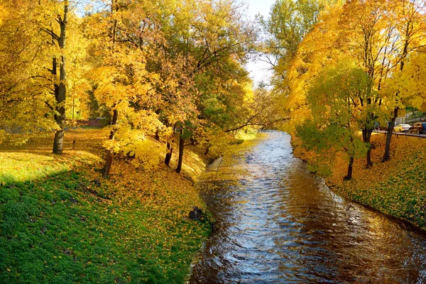 Красочная Сцена Городском Парке Осенью Оранжевой Желтой Листвой Красивые Осенние — стоковое фото