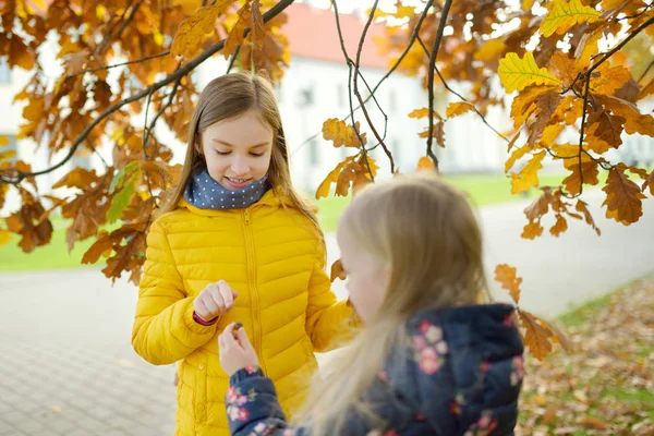 Twee Schattige Kleine Meisjes Plezier Mooie Herfstdag Gelukkige Kinderen Spelen — Stockfoto