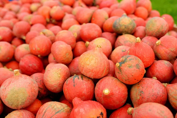 Decoratieve Oranje Pompoenen Tentoongesteld Boerenmarkt Duitsland Oranje Versiering Pompoenen Zonlicht — Stockfoto