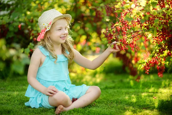 Menina Bonito Escolhendo Groselhas Vermelhas Jardim Dia Verão Quente Ensolarado — Fotografia de Stock