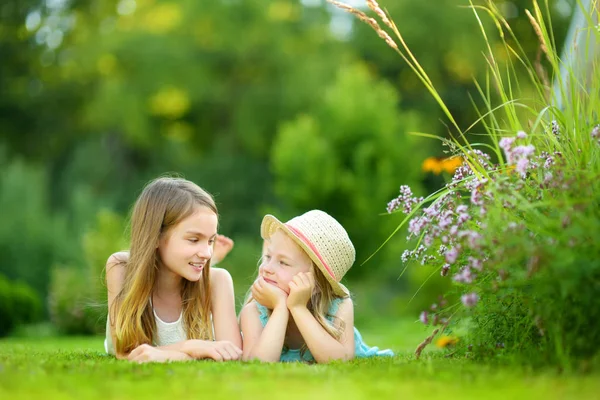 Två Söta Små Systrar Att Roligt Tillsammans Gräset Solig Sommardag — Stockfoto