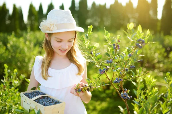 Sevimli küçük kız taze malzeme çekme organik blueberry çiftlik üzerinde sıcak ve güneşli yaz günü çilek. Küçük çocuklar için taze sağlıklı organik gıda. Yaz aylarında Aile aktiviteleri.
