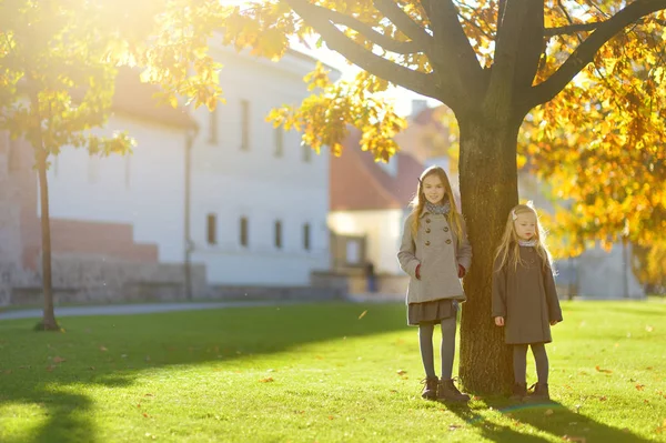 Dos Niñas Lindas Divirtiéndose Hermoso Día Otoño Niños Felices Jugando — Foto de Stock