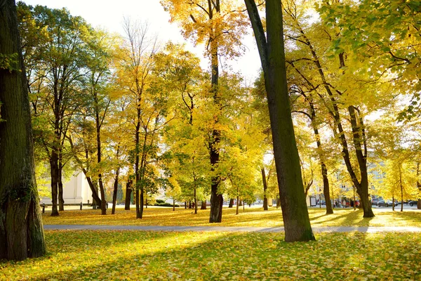 Färgstarka Stad Park Scen Hösten Med Apelsin Och Gult Bladverk — Stockfoto