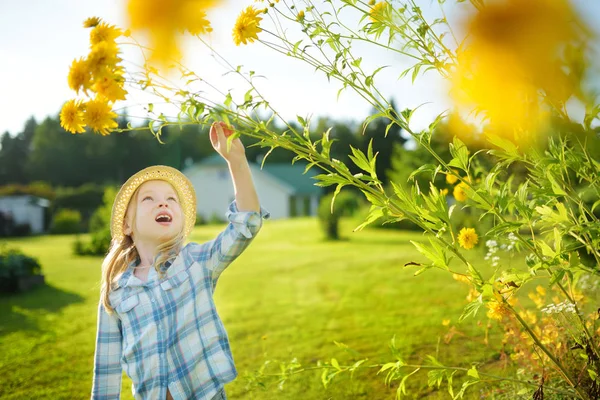 Söpö Pieni Tyttö Yllään Olkihattu Ihaillen Pitkä Keltainen Coneflowers Aurinkoisena — kuvapankkivalokuva