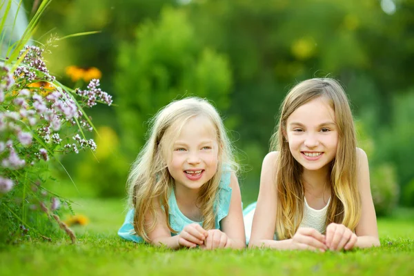 Två Söta Små Systrar Att Roligt Tillsammans Gräset Solig Sommardag — Stockfoto