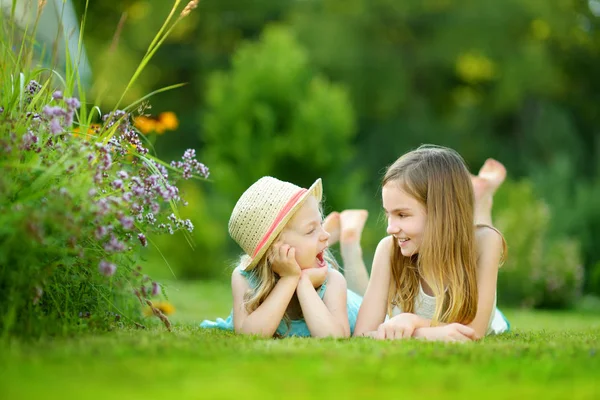 日当たりの良い夏の日に草の上一緒に楽しみを持つ つのかわいい幼い姉妹は 家族の時間 — ストック写真
