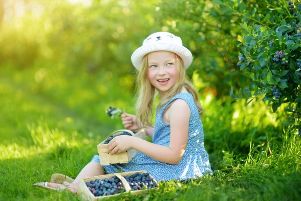 Linda Niña Recogiendo Bayas Frescas Granja Arándanos Orgánicos Día Verano — Foto de Stock