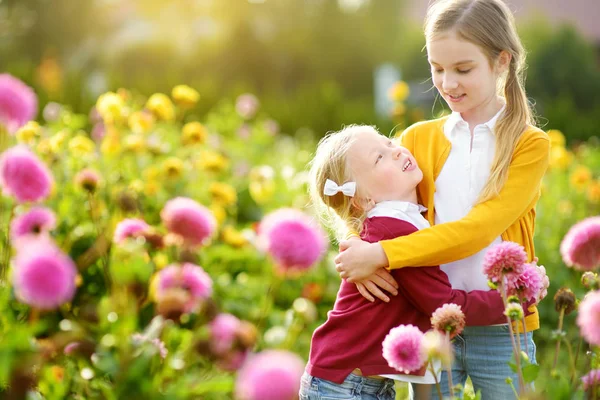 Two Cute Sisters Playing Blossoming Dahlia Field Children Picking Fresh — Stock Photo, Image