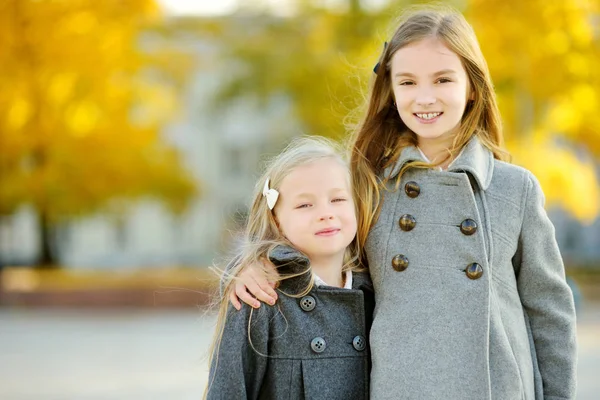 Duas Meninas Bonitos Divertindo Belo Dia Outono Crianças Felizes Brincando — Fotografia de Stock