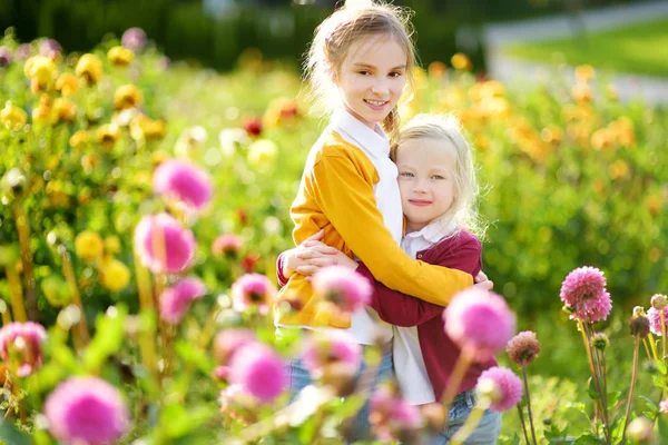 Dos Hermanas Lindas Jugando Floreciente Campo Dahlia Niños Recogiendo Flores —  Fotos de Stock