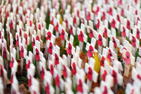 London November 2017 Poppy Crosses Westminster Abbey Field Remembrance Remembrance — Stock Photo, Image