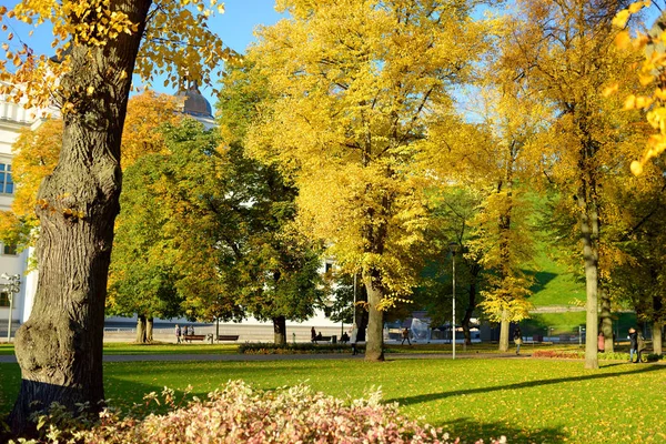 Scène Parc Urbain Coloré Automne Avec Feuillage Orange Jaune Beau — Photo