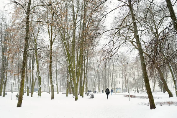 White Snowy City Park Scene Winter Snowfall Beaux Paysages Hiver — Photo
