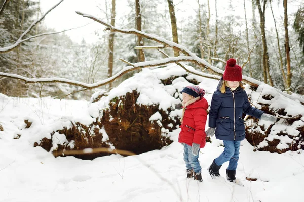两个可爱的小女孩一起在美丽的冬季森林乐趣 美丽的姐妹们在雪地里玩耍 儿童冬季活动 — 图库照片