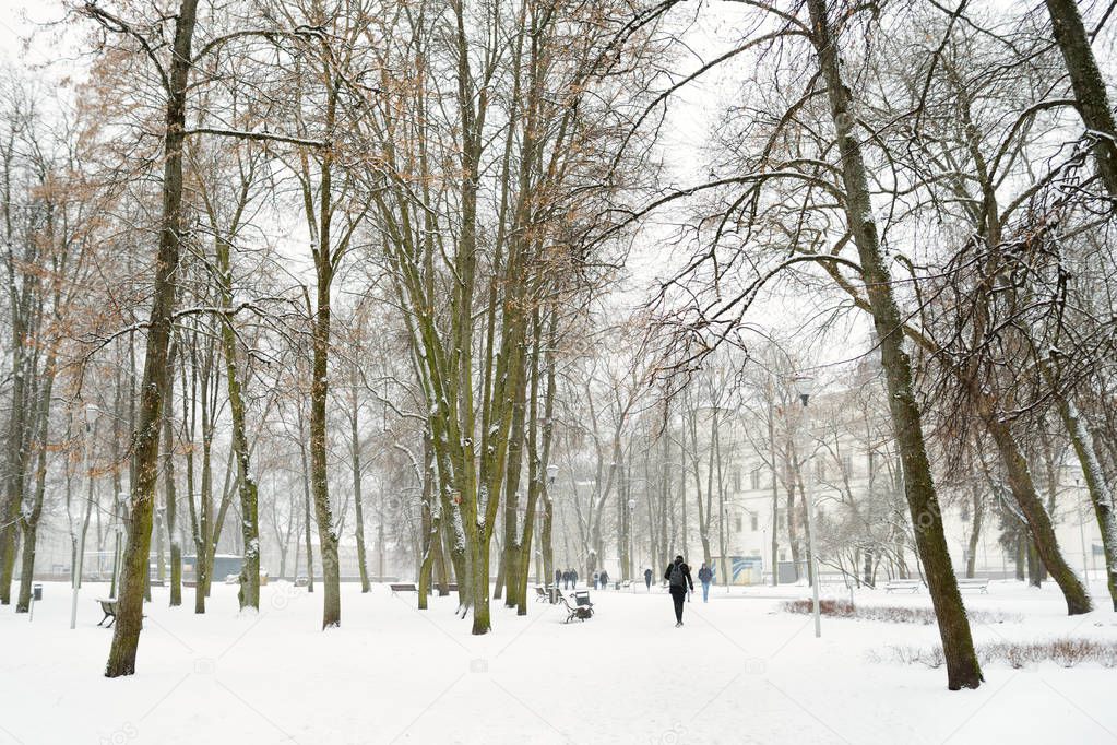 White snowy city park scene in winter during snowfall. Beautiful winter scenery in Vilnius, Lithuania.