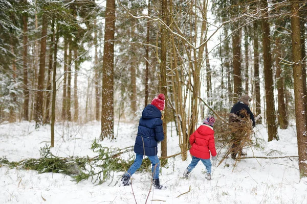 Две Очаровательные Маленькие Девочки Веселятся Вместе Прекрасном Зимнем Лесу Красивые — стоковое фото