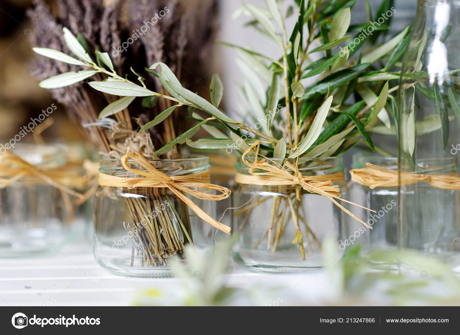 Glass Vase Shapes And Names Fresh Olive Branches Dried Lavender