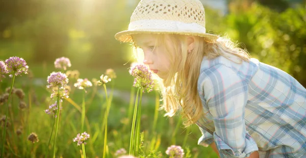 Söt Liten Flicka Klädd Stråhatt Beundra Lång Lila Vitlök Blommor — Stockfoto