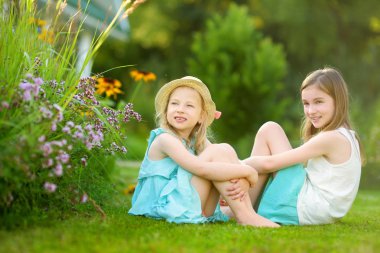 İki sevimli küçük kız eğleniyor birlikte bir güneşli yaz gününde çimenlerin üzerinde. Aile zamanı.
